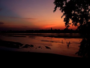 IMG_1800